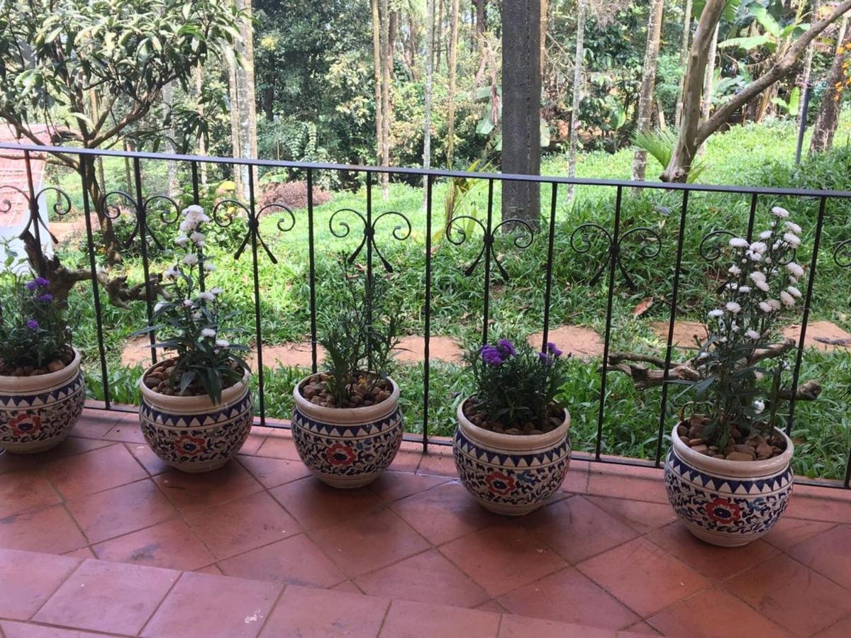 Hotel Tea Terrace Vythiri Wayanad Esterno foto