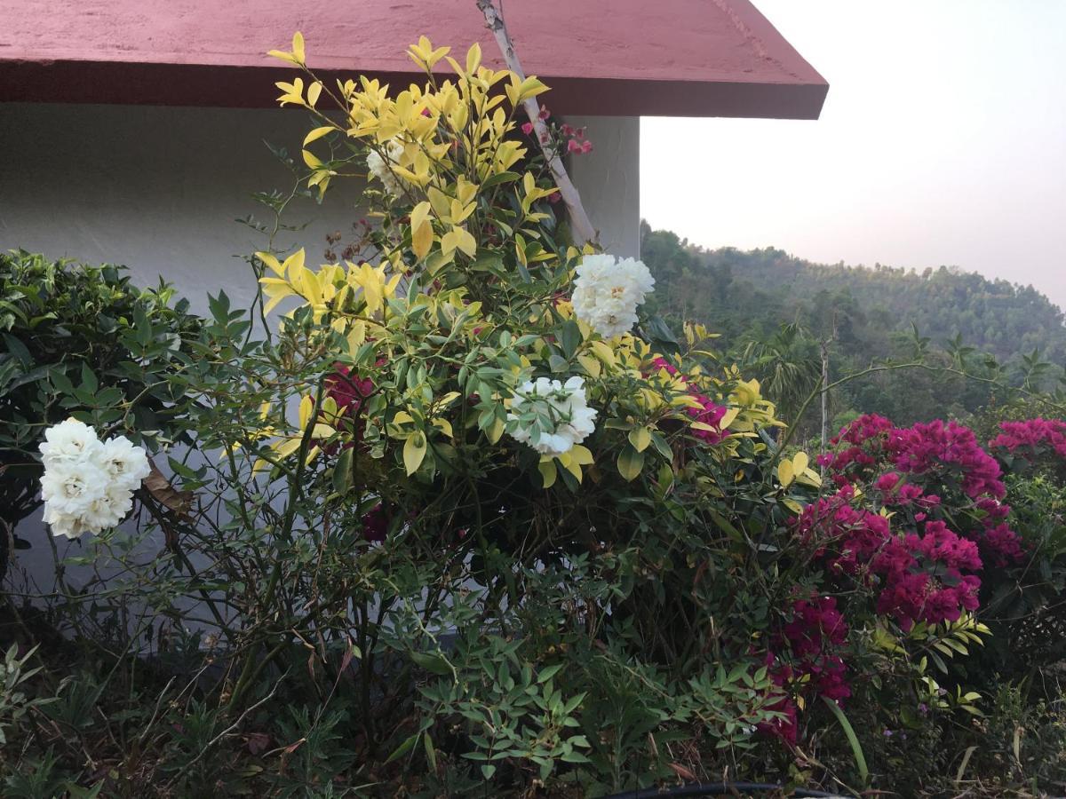 Hotel Tea Terrace Vythiri Wayanad Esterno foto