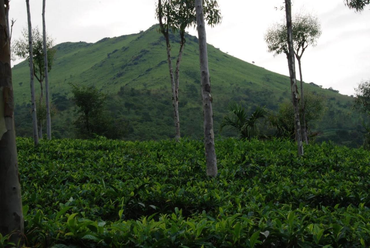 Hotel Tea Terrace Vythiri Wayanad Esterno foto
