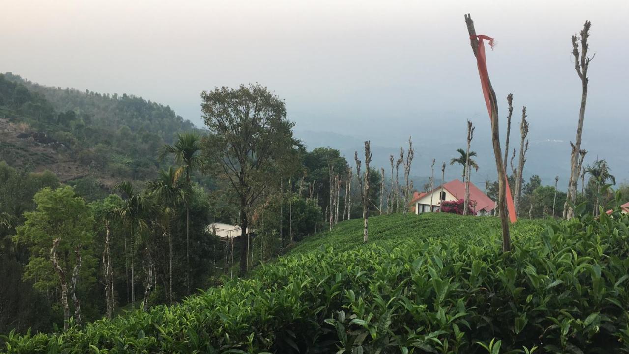 Hotel Tea Terrace Vythiri Wayanad Esterno foto