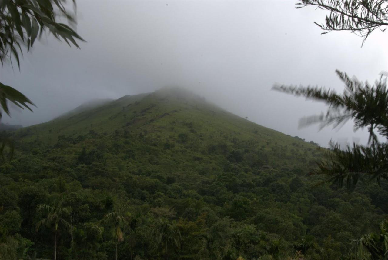 Hotel Tea Terrace Vythiri Wayanad Esterno foto