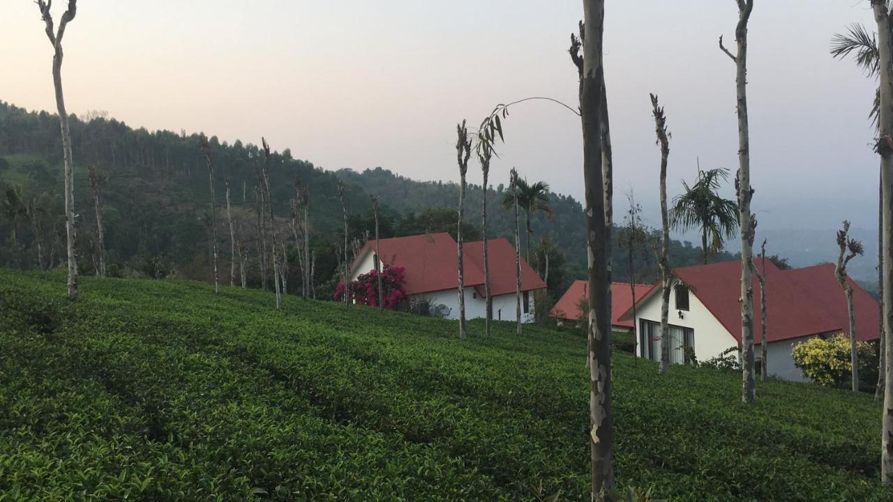 Hotel Tea Terrace Vythiri Wayanad Esterno foto