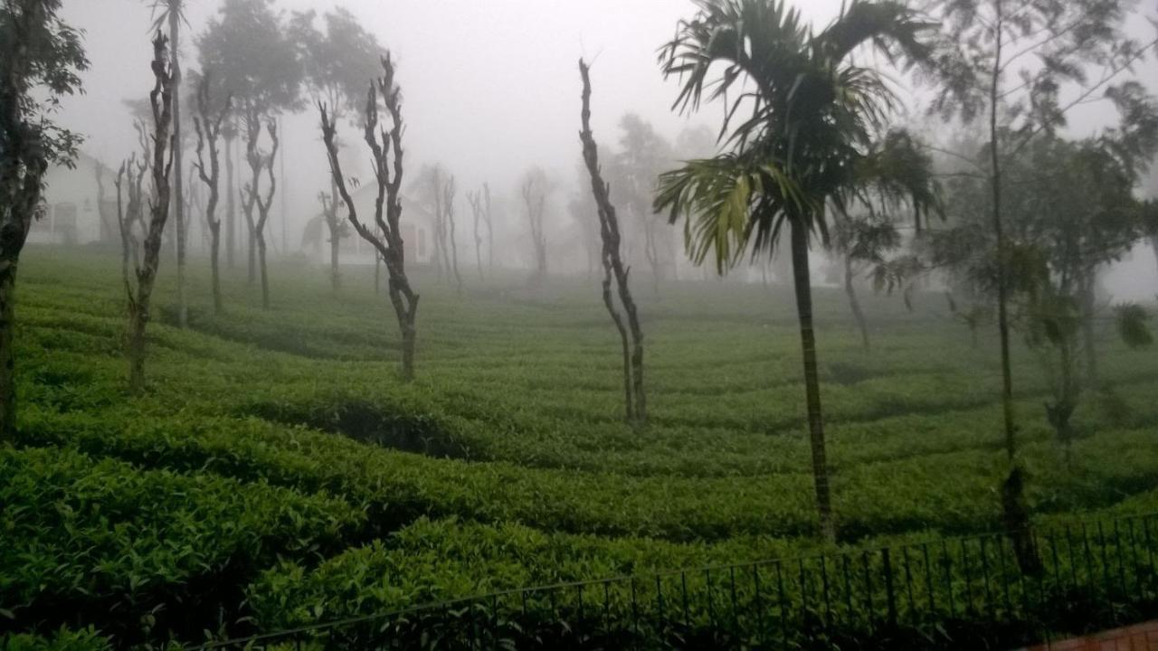 Hotel Tea Terrace Vythiri Wayanad Esterno foto
