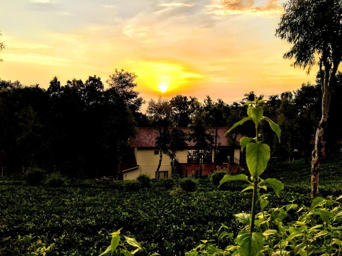Hotel Tea Terrace Vythiri Wayanad Esterno foto