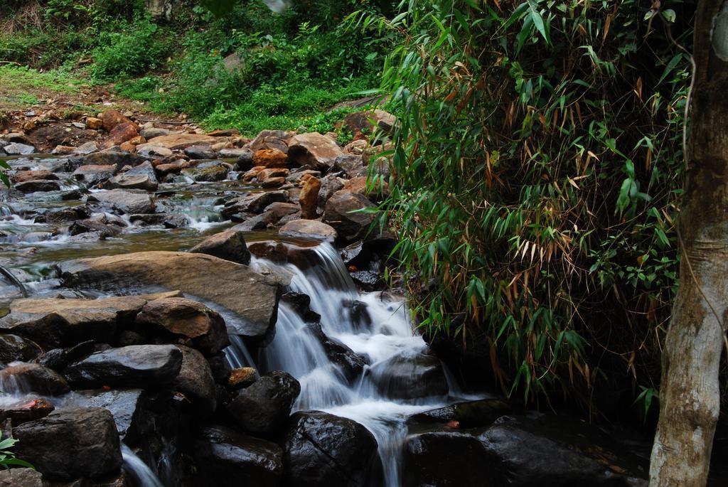 Hotel Tea Terrace Vythiri Wayanad Esterno foto