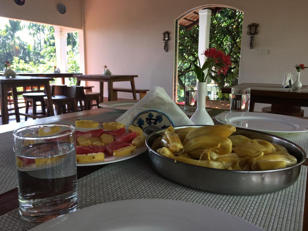 Hotel Tea Terrace Vythiri Wayanad Esterno foto